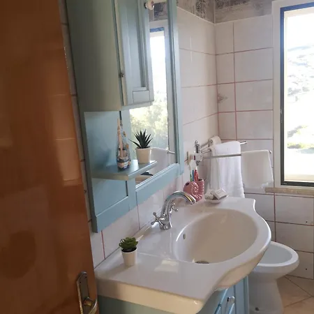 Concasuite בארי סארדו